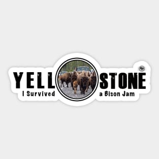 I Survived a Bison Jam, Yellowstone National Park Sticker